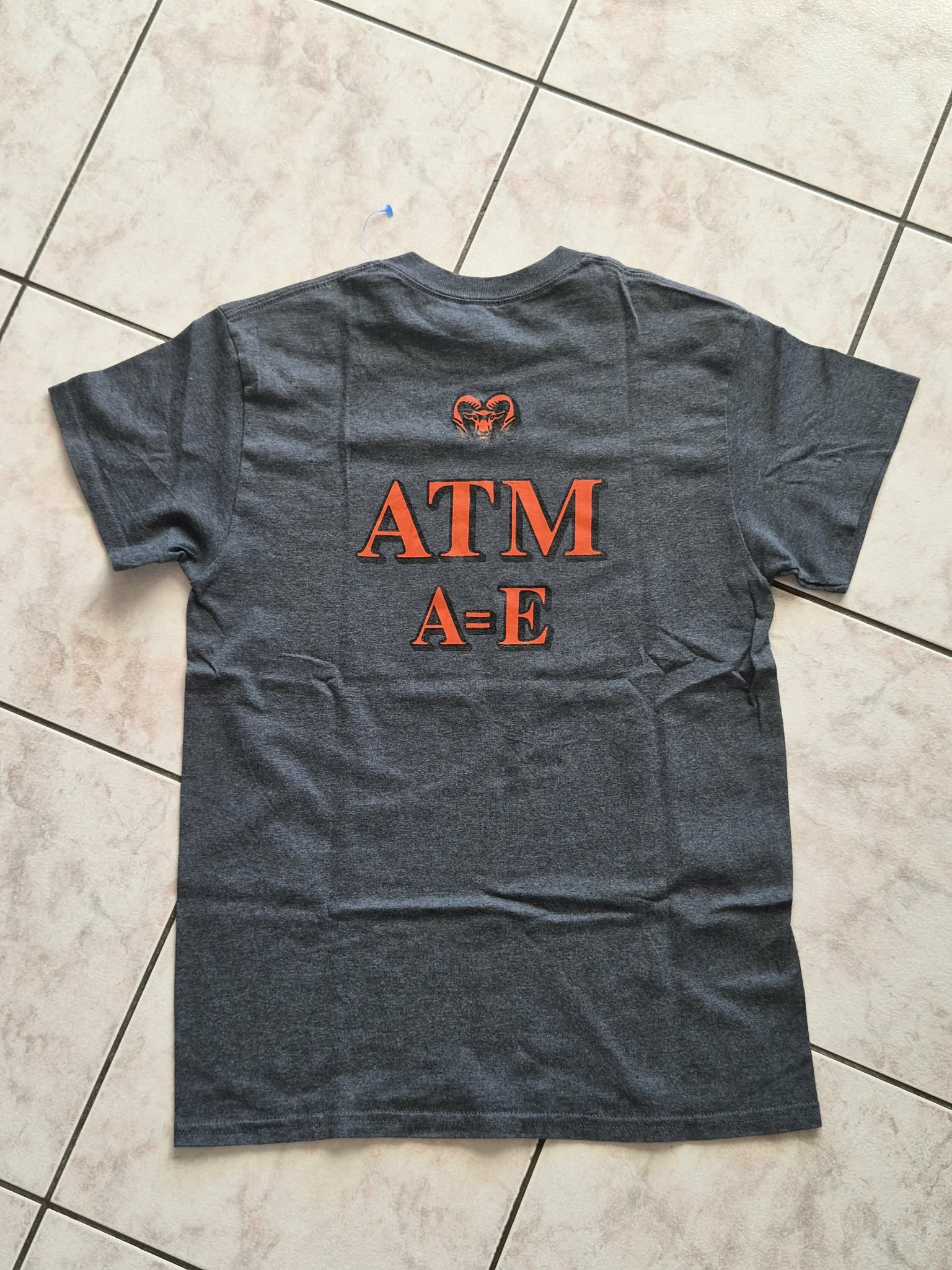 T-shirt Rockford Rams Softball — Gildan DryBlend — S — Gris Anthracite — Très bon état